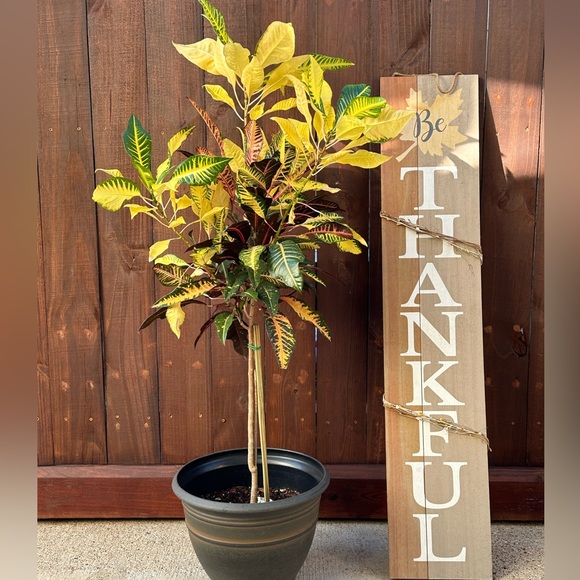 ❤️BOOKMARK🌟POSH AMBASSADOR🌟     Maria L - Picture 16 of 16